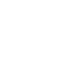pioneer network